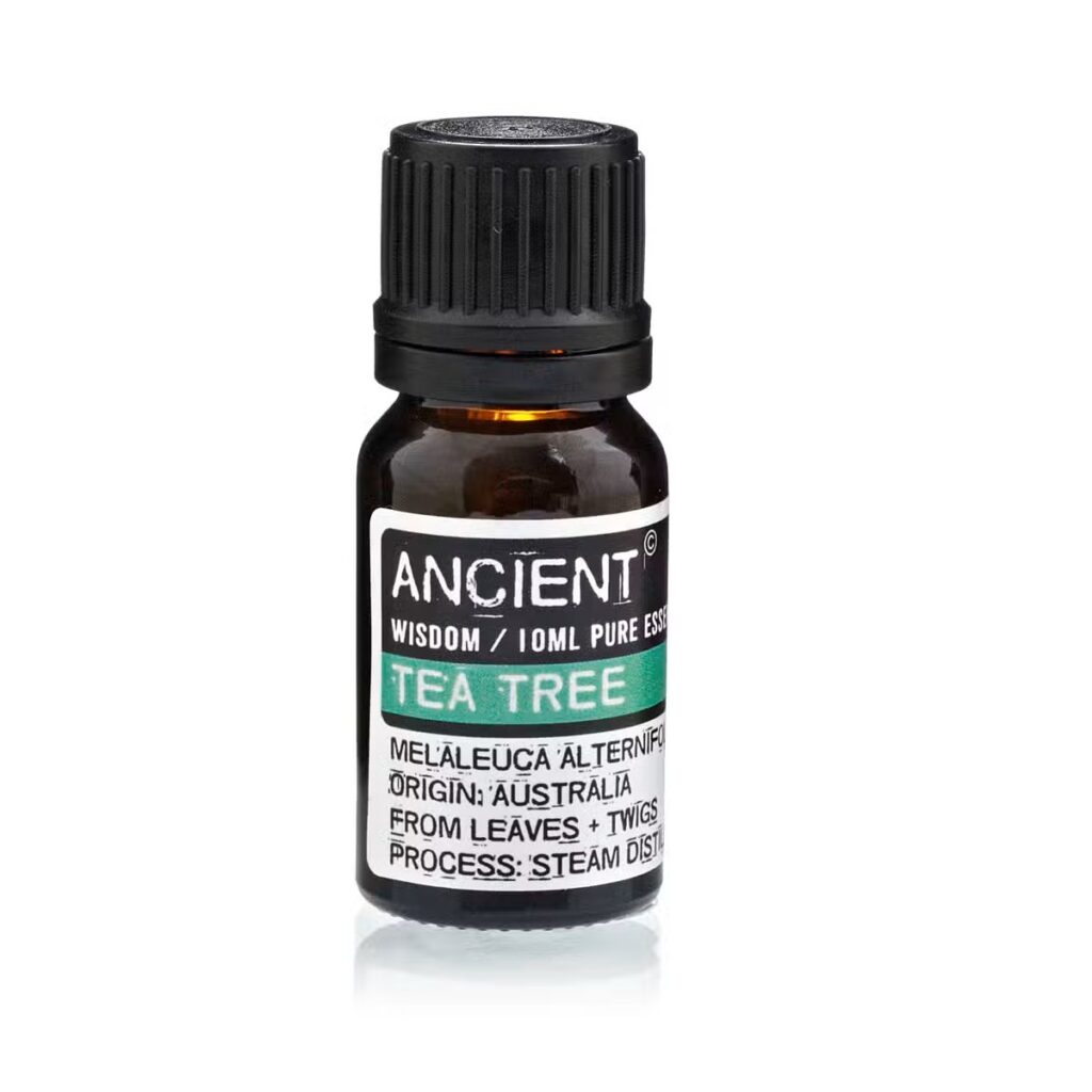 TeaTree Essential Oil - Vivid Aromas Find out the benefits of Tea Tree Essential Oil