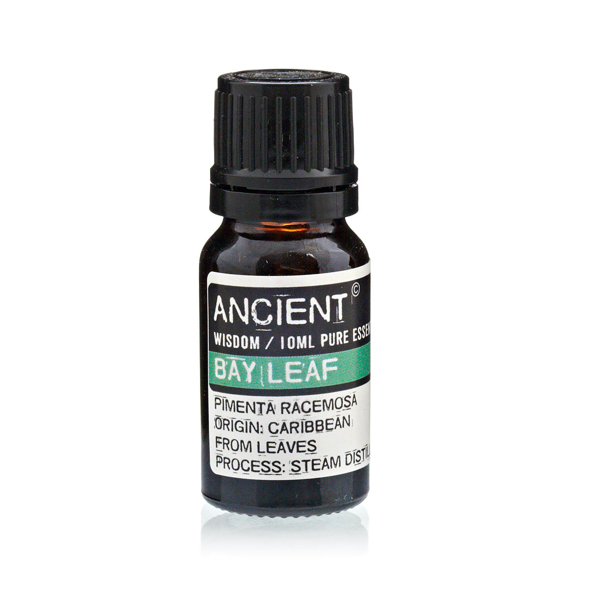 Bay Leaf Essential Oil - 10 ml - Vivid Aromas UK