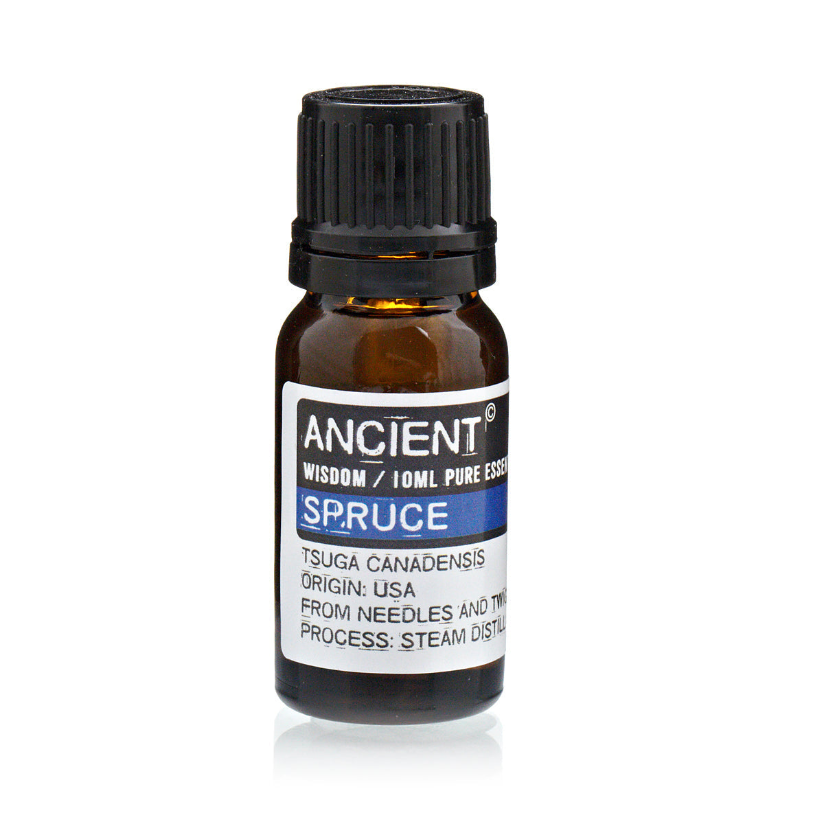 Spruce Essential Oil - 10 ml - Vivid Aromas UK