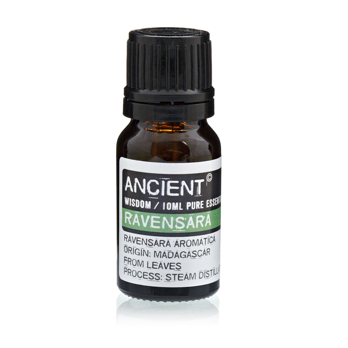 Ravensara Essential Oil - 10 ml - Vivid Aromas UK