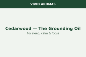Cedarwood essential oil — the grounding oil for sleep, calm and focus