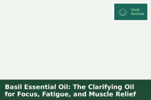 Basil Essential Oil: The Clarifying Oil for Focus, Fatigue, and Muscle Relief
