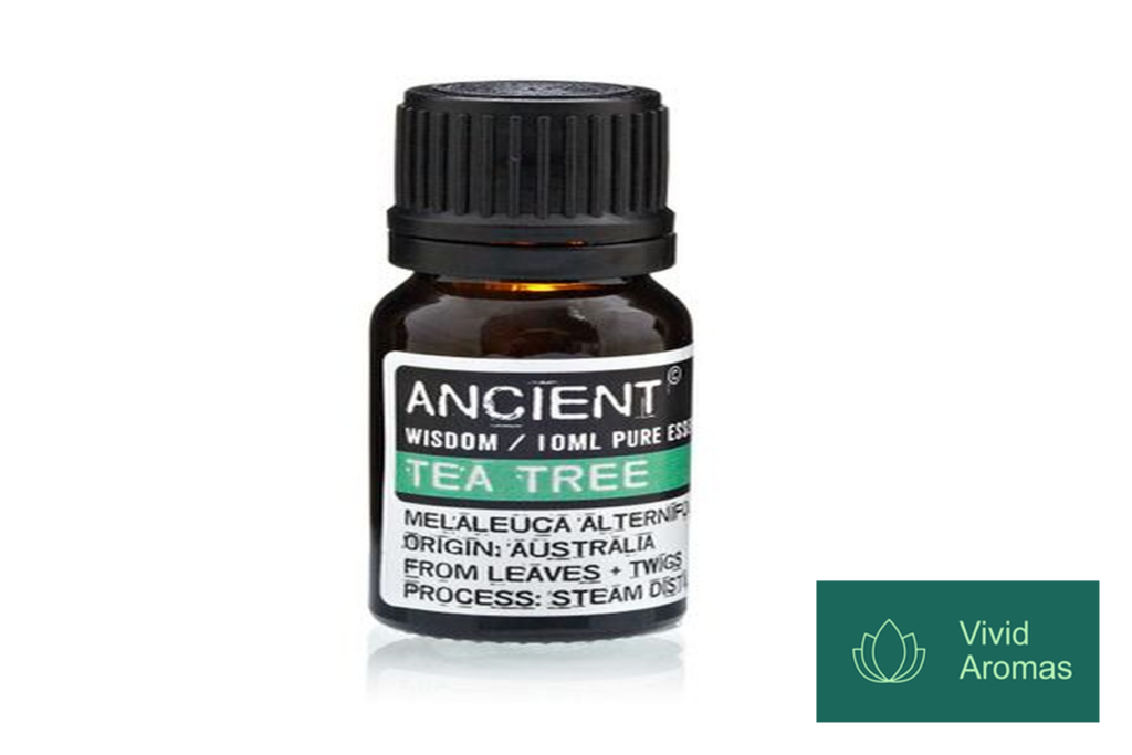 Tea Tree Essential Oil: Nature’s Antiseptic Explained